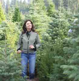 At least 50 different kinds of conifers are sold as Christmas trees in the U.S.